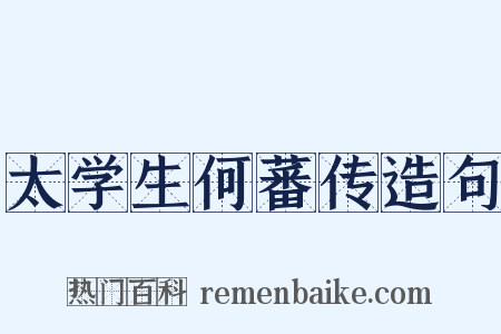 太学生何蕃传造句是什么意思的图片